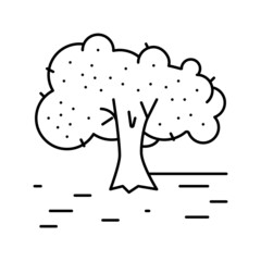 cultivation olive tree line icon vector illustration