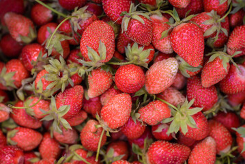Background of many red strawberries, top view
