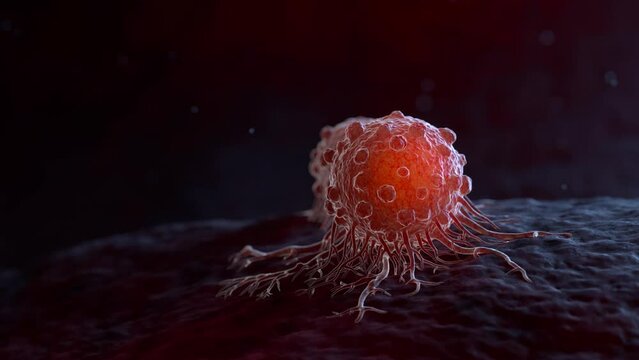 Cancer cells can migrate to other body tissues or organs building metastasis. 3D animation