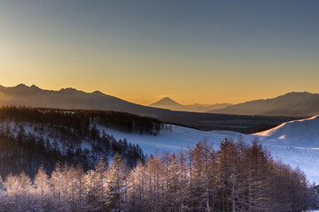冬の霧ヶ峰から夜明けの富士山と朝日に輝く霧氷