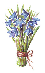 Bouquet of snowdrops. Watercolor illustration. Hand-painted  