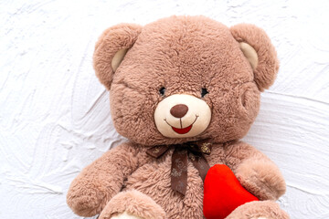 Teddy Bear sitting on the sofa