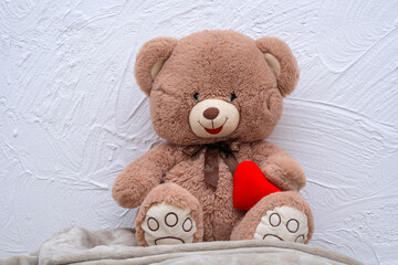 Teddy Bear sitting on the sofa