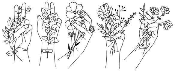 Vector line art hand with bouquet of flowers