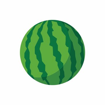 Vector Illustration Of Round Watermelon Fruit.