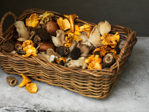 Mushrooms - girolles, ceps, morels