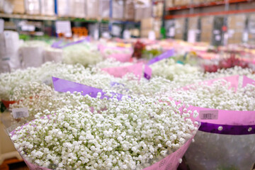 Selective focus on white gypsophila flowers in a wholesale flower shop. On a blurred background, there are many foreign flowers for International Women's Day on March 8.