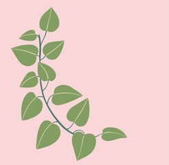 Obraz premium Simplicity ivy freehand drawing flat design.