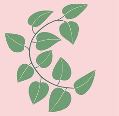 Simplicity ivy freehand drawing flat design.