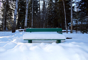 A bench in the winter park. - 489000094