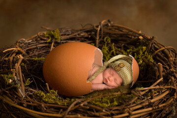 Cute baby in open egg in nest