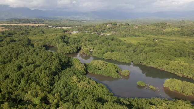 The lush, tropical nature on Damas Island near Quepos, Costa Rica. Aerial backwards tracking shot