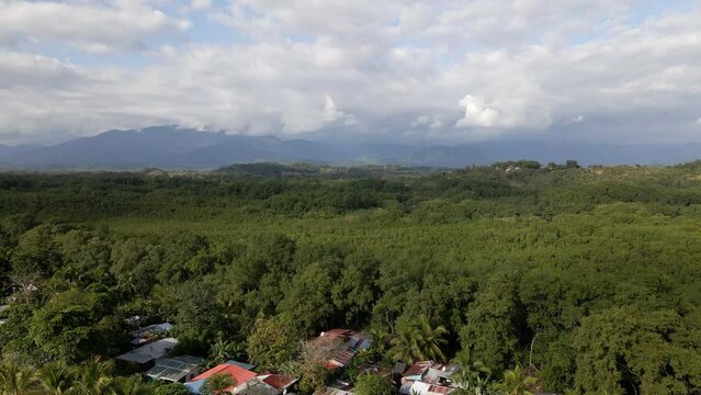 The vast and lush nature of the Isla Damas near Quepos, Costa Rica with several tin huts within the rainforest. Backwards tracking Wide Shot