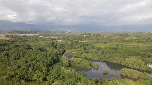 The tropical landscape of Damas Island, dominated by mangroves and rainforest. Wide angle aerial reveal