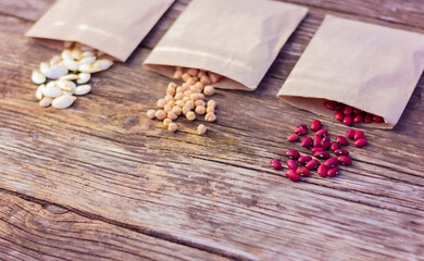 seeds of bean, chickpea and pumpkin in paper bags on a rustic wooden table, selective focus. concept of farming, gardening, planting organic natural products