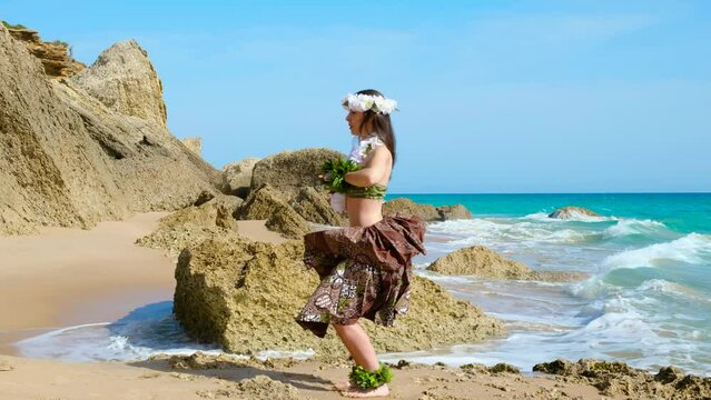 Graceful woman dacing hawaiian dance on the beach. Silhouette with blanks.