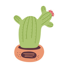 Hand drawn cactus, succulent, potted flower isolated on a white background. Doodle, illustration in a simple flat style. It can be used for decoration of textile, paper and other surfaces.