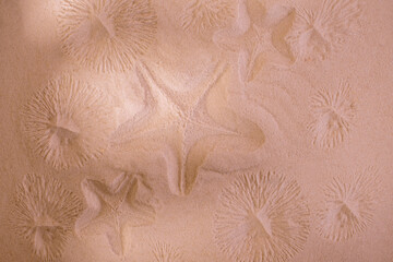 Starfish trace on a sand surface. Summerbackground good for Seasonal Sale or Tour Trip announce.