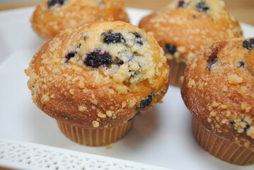 Close-Up of Bakery Blueberry Muffins with Fresh Blueberries	