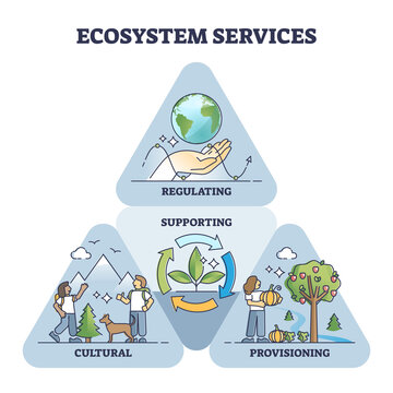 Ecosystem Services As Environmental Regulation And Supporting Outline Diagram. Labeled Sustainable Nature Cultural And Provisioning Process Explanation With Triangle Visualization Vector Illustration.