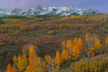 Autumn landscape at dawn, Dallas Divide, San Juan Mountains, Colorado, USA