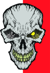 Colored Human Skull Vector Illustration for T-shirt design, wall art, graphic works, tattoos, and prints