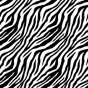 Zebra skin texture. Seamless striped black and white pattern.