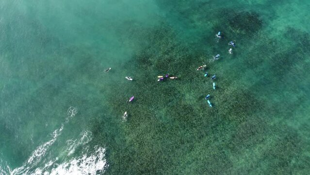 Surfers and kiters paradise Fuerteventura