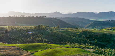landscape view of fields around Ronda with the Serrania de Ronda in the background