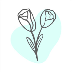 Single line Tulip. Flower line nature icon vector. Trendy spring Vector illustration.