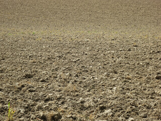 plowed field with clods, balls of earth