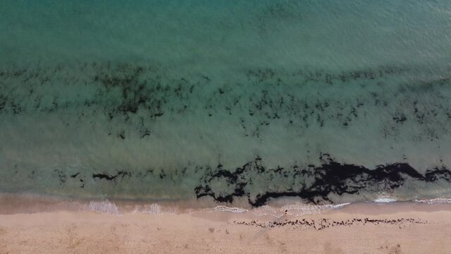 Waves on the beach - Morro Jable