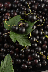 Food background from a close-up of black currant berries.