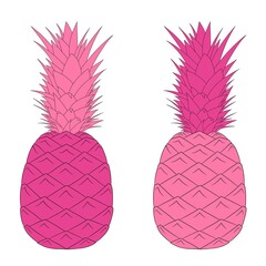 Pineapple illustration, unusual color, pink and soft pink. The fruit. Juice