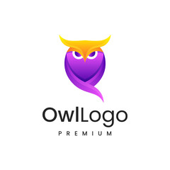 Owl colorful Design concept Illustration logo vector.
