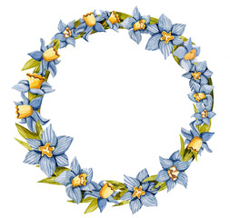 Watercolour narcissus flower wreath for wedding, birthday and party invitation cards. Daffodils buds in blue color with green leaves in circle. Beautiful aquarelle floral frame