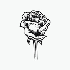 Rose flower hand drawn outline drawing illustration.