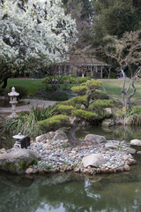 Japanese garden with pond