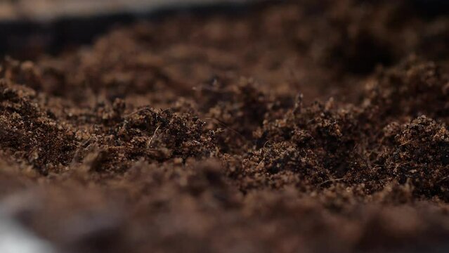 Close up watering ground for seed to grow