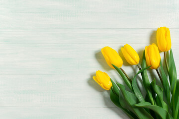 Yellow tulips wooden mint background. Mock up for Birthday, Wedding, Mother's Day, International Women's Day. Flat lay, top view of a gift bouquet of tulips. Spring flower background, copy space
