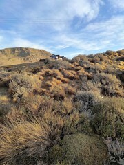 Paysage de Patagonie
