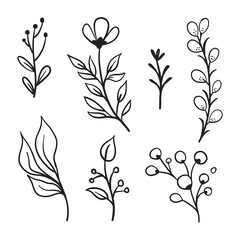 Vector branches and leaves. Hand drawn floral elements. Vintage botanical illustrations. Doodle nature ornaments.