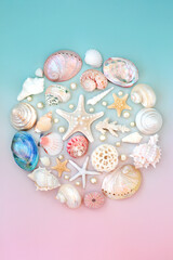 Seashell and oyster pearl on gradient pastel pink and blue background. Natural abstract summer...
