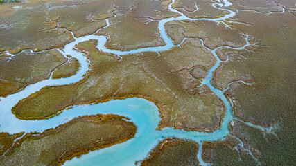 Salt Marsh Folley Beach South Carolina