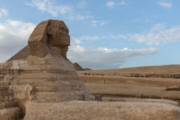 Egypt. Giza. View of the Sphinx next to the pyramids.
