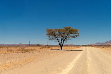 single shady tree on a gravel road through the desert, Namibia