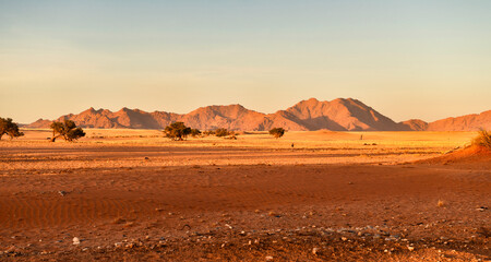 Fototapeta na wymiar Desert landscape in the morning just outside Sossusvlei, Namibia