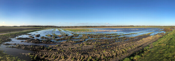 Flooding. Fields flooded by water. Uffelter es. Uffelte Drente Netherlands. Panorama. 