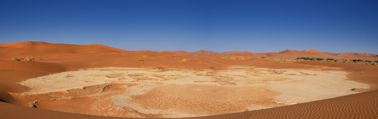 Fototapeta na wymiar dried up lake near Dead Valley in Sossusvlei, Namibia