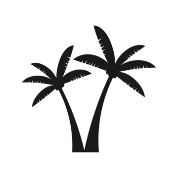 Palm trees flat style on white background. Vector stock illustration.